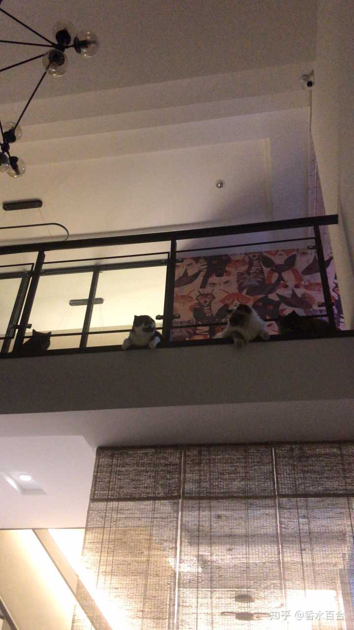 买了高层的人怎么样了,买了顶楼的房子后悔了吗