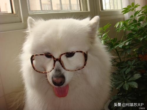 破冰行动赵嘉良是好人嘛,破冰行动赵嘉良身份