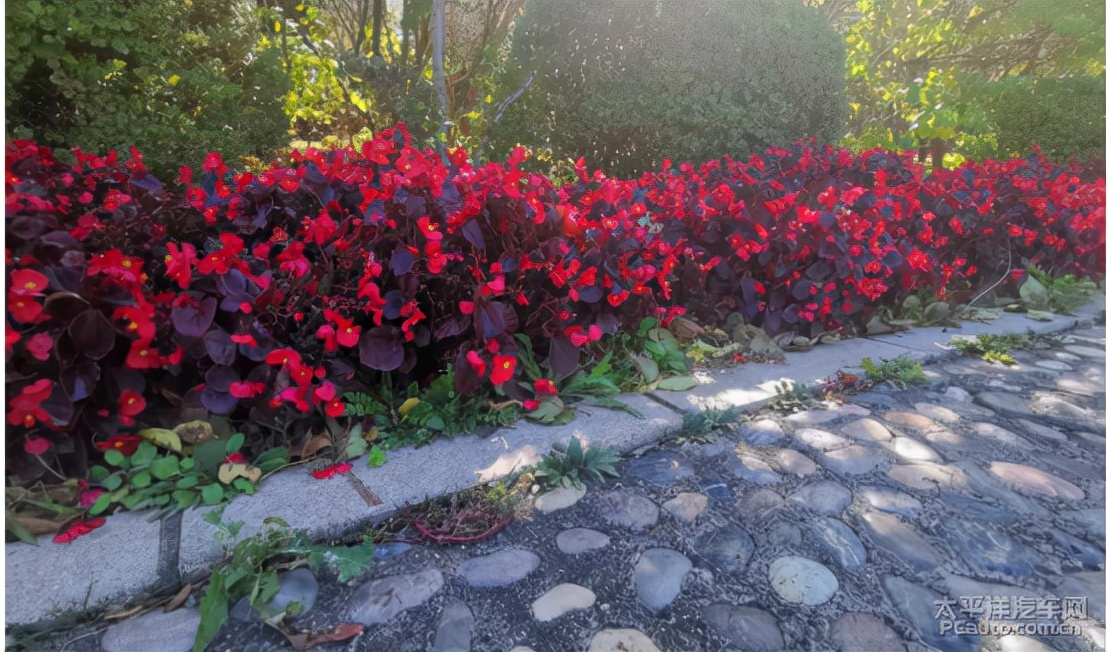 忽如一夜秋风来的下一句,,忽如一夜春风来千树万树梨花开