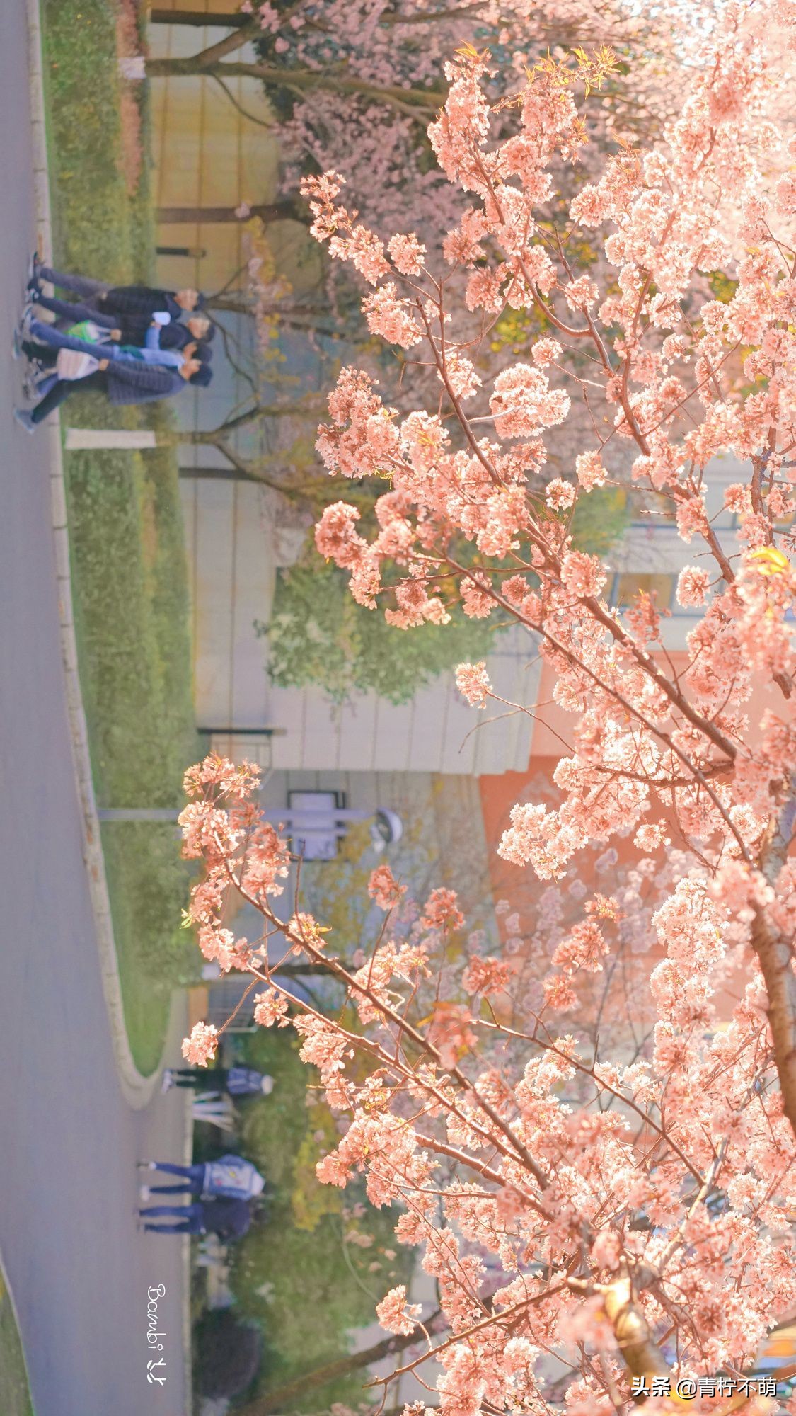 苹果13原装高清壁纸4k全屏无水印,4k超清壁纸1080p无水印全屏苹果