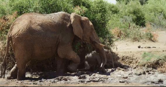 年度最佳女主角范冰冰,颜值与演技力压范冰冰