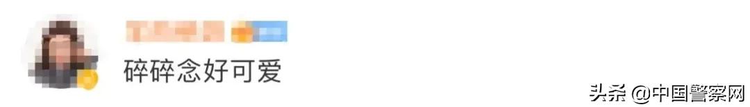 “师父说他25今年属虎！”这份实习日记火了