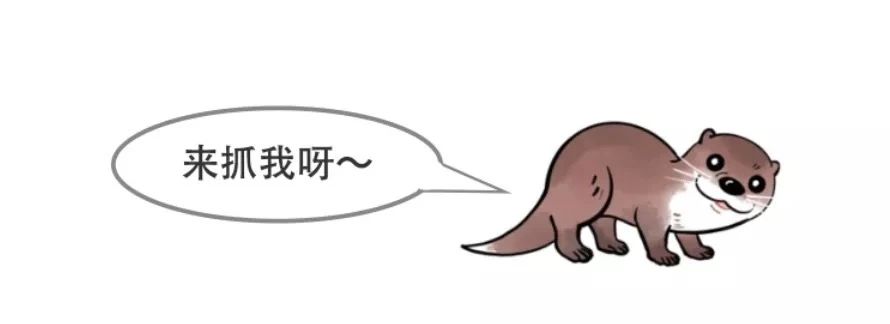 嘉年华快报：杭城万名神兽出动，破解七大自然悬案