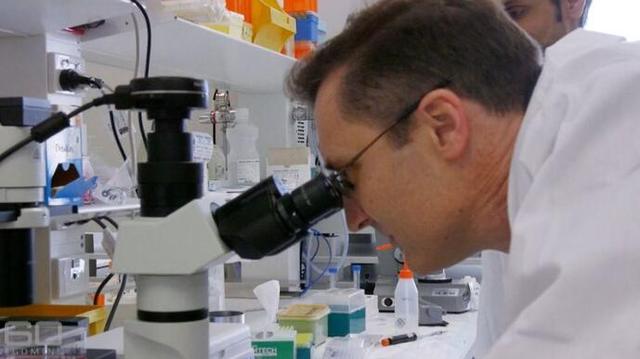 最新抗癌药治疗血癌,澳洲医疗治疗癌症免费吗