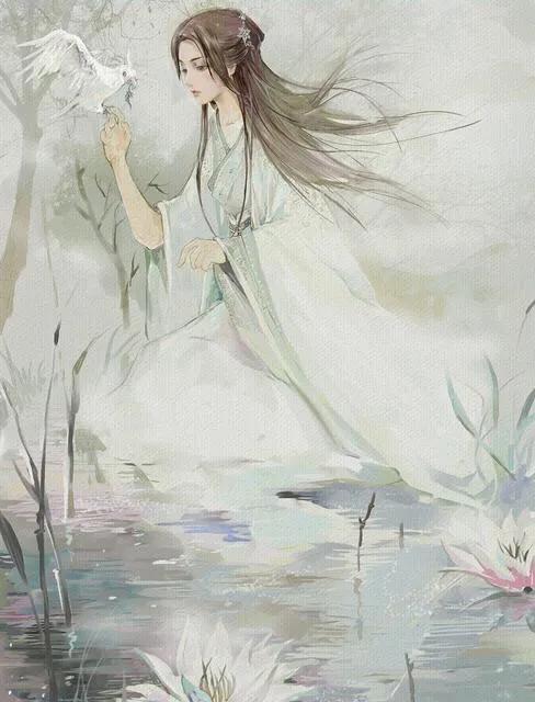 执子之手诗经典语录,诗经经典佳句解析