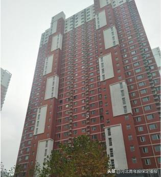 「11月14日」保定新闻“早点”：你昨天错过的大事都在这！