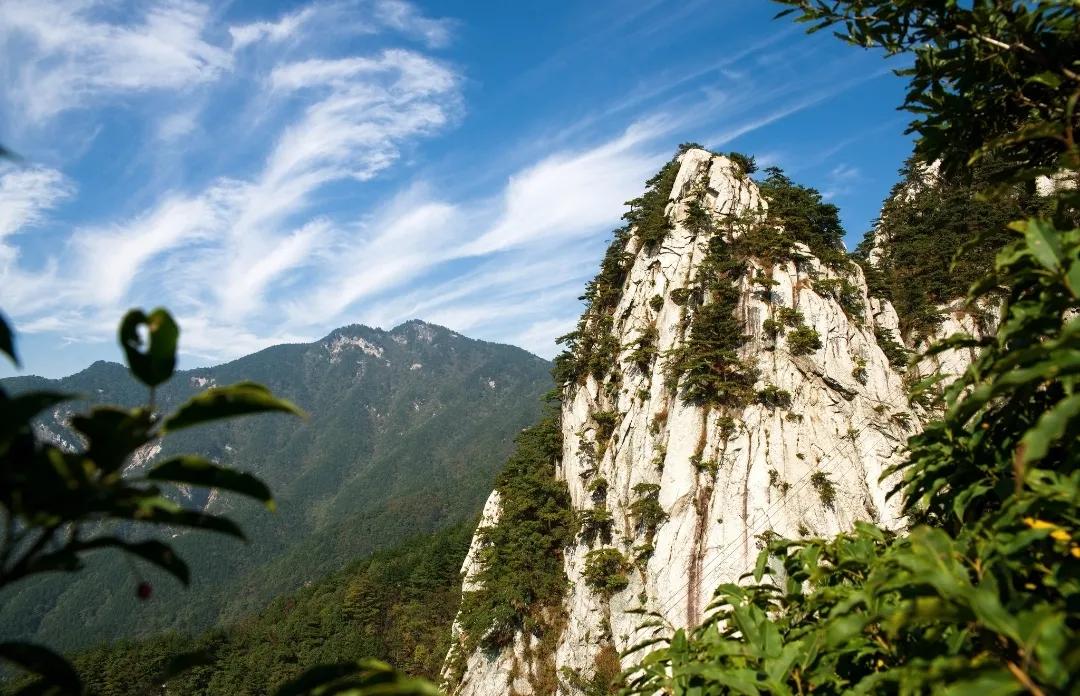 九头鸟的意思,九头鸟的故事