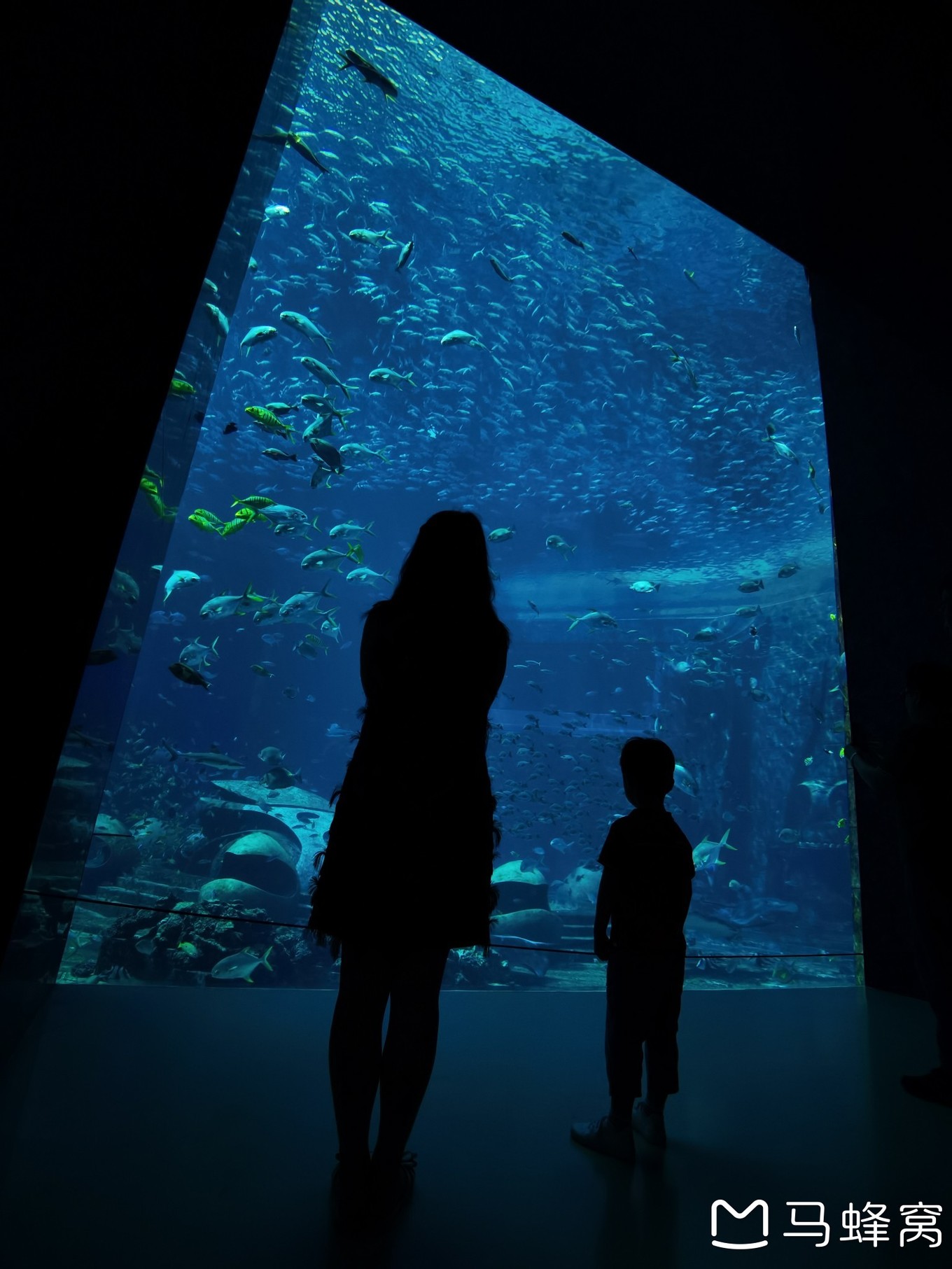 三亚夏天的海和冬天的海,三亚冬天如夏