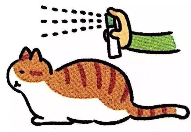 给猫主子梳毛,给猫猫梳毛用什么最好