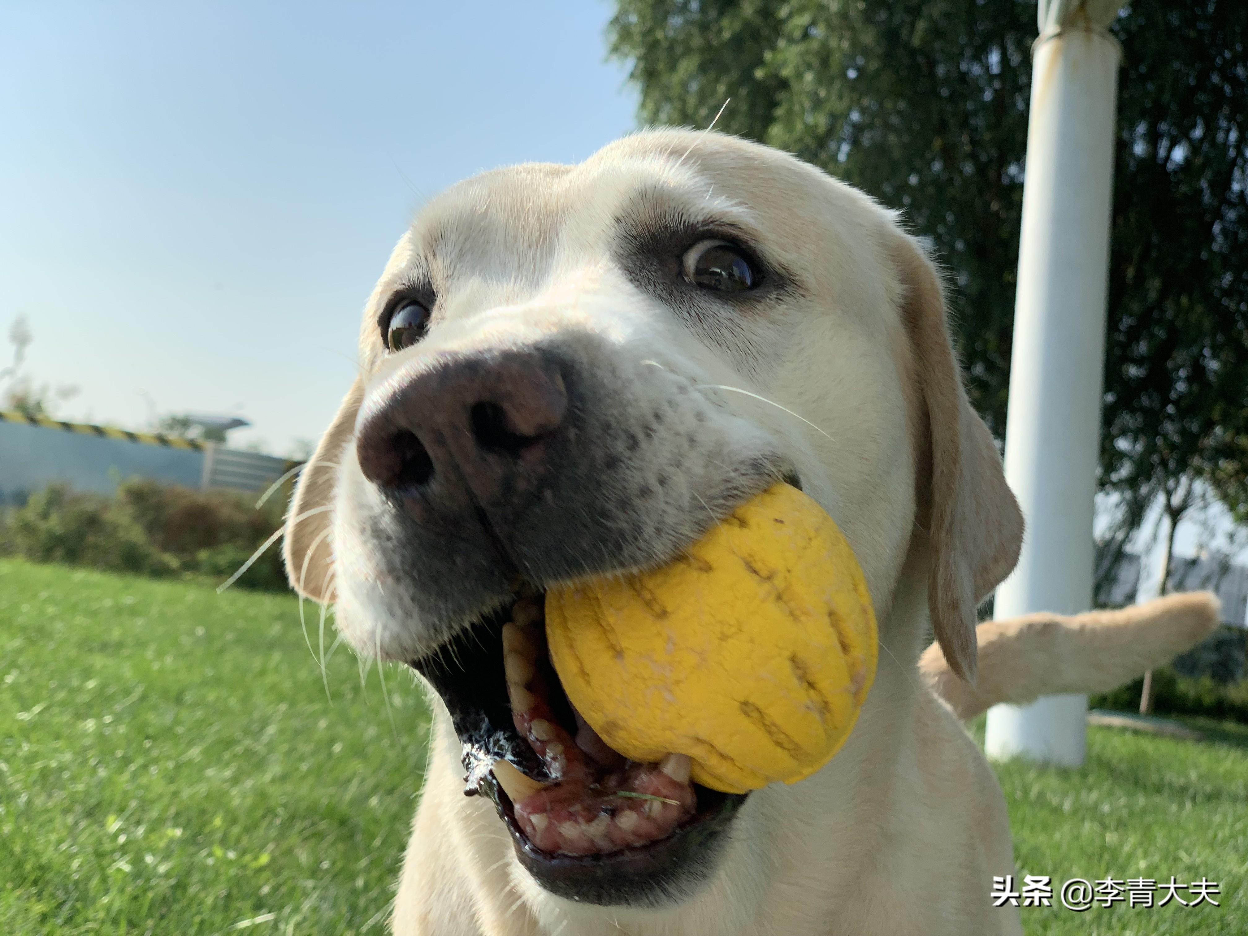麦扣的家庭,麦扣的质感好物