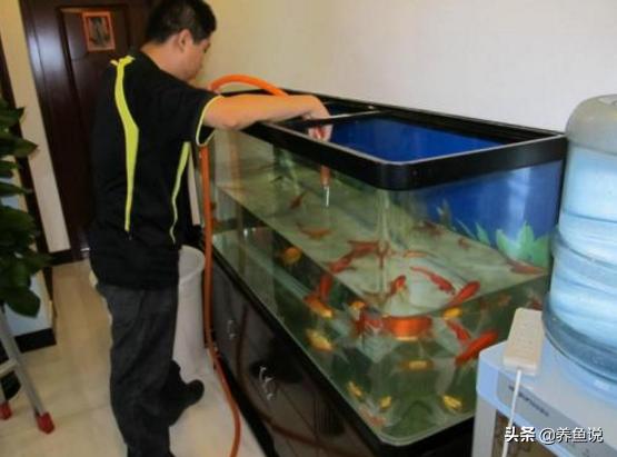 鱼缸消毒滤材也要消毒吗,鱼缸消毒三种简单高效的办法