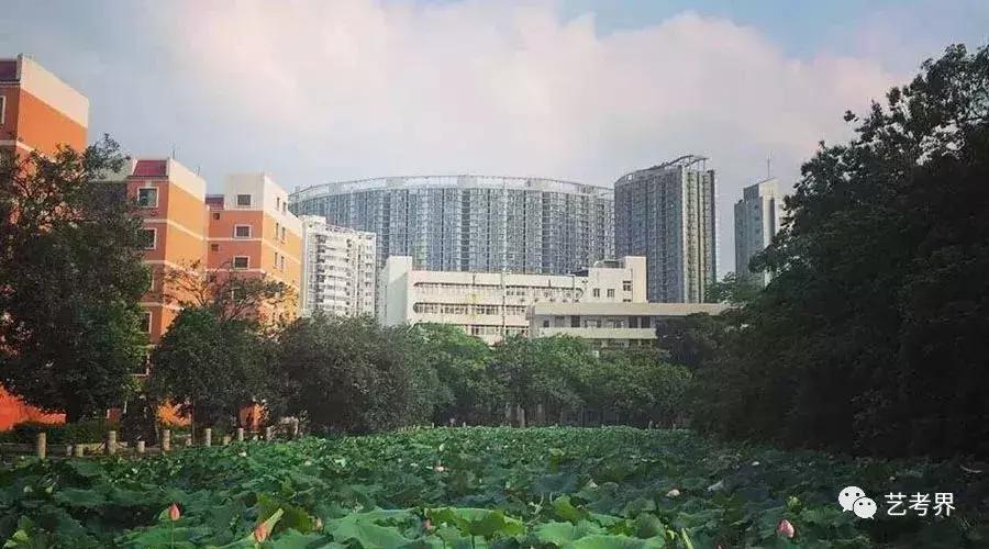 艺考211全国有哪些学校,211美术降分学校