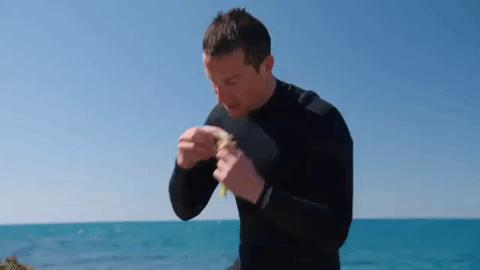 绉冨ご鐚村瓙鍚冮奔,鏃ユ湰鐚村瓙绉冨ご鍚冮潚鑺遍奔