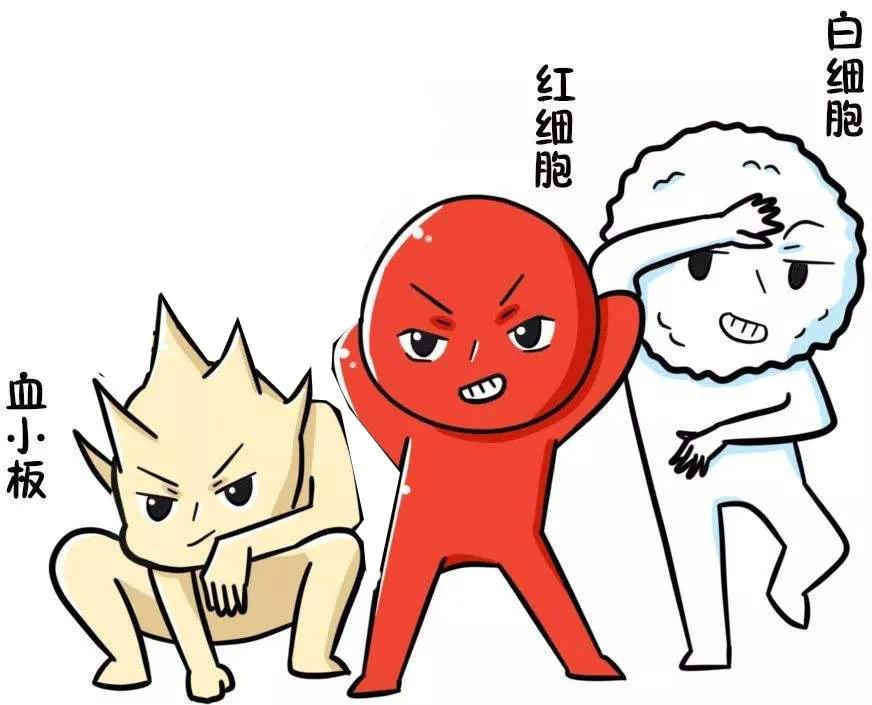 产检血常规怎么看,产检血常规化验单怎么看