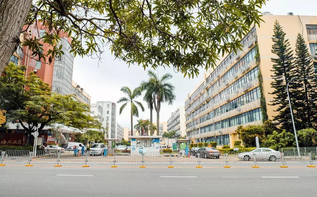 隐藏在梧桐山里的世外桃源,深山独门独户世外桃源