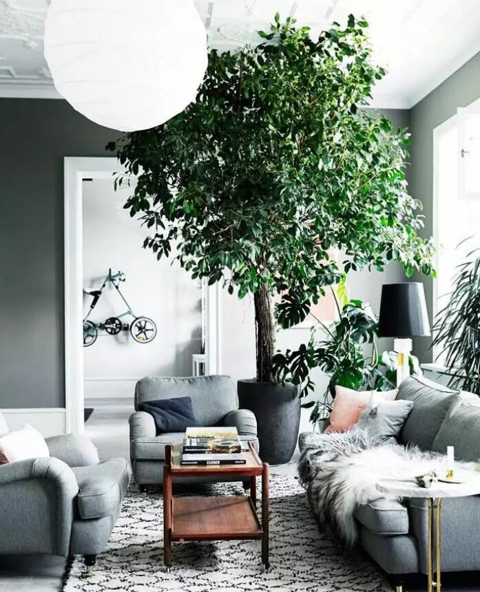 买的新房卫生间正对门口?学会这4种方法,轻易化解尴尬