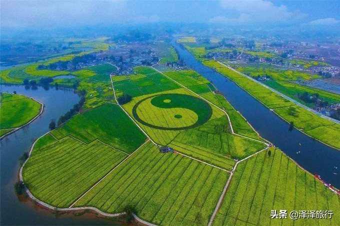 中国最美油菜花海汉中,中国最美油菜花海排名