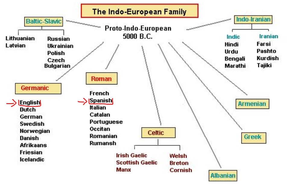 西班牙语入门必学单词,学西班牙语言的小技巧