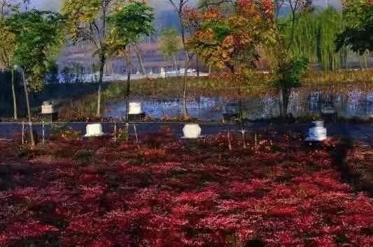 南京师范大学中北学院实力,南京师范大学中北学院2023