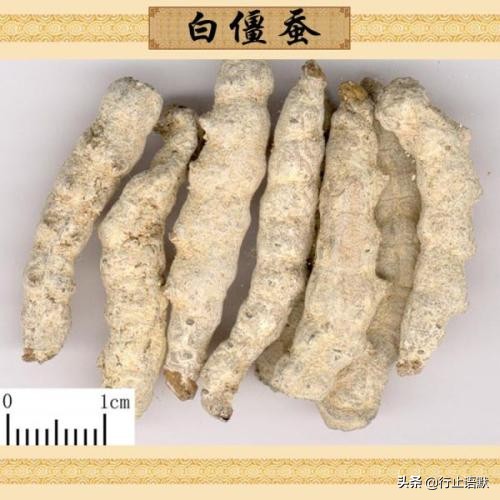邹燕勤治肾病蛋白尿经验,岳沛芬教授谈肾病治法