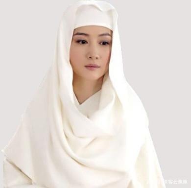 袁承志在鹿鼎记武功排行,鹿鼎记韦小宝武功排行