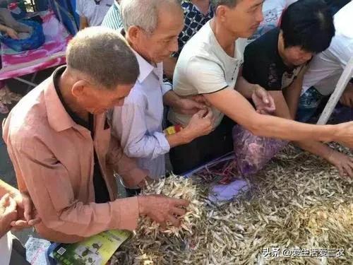 容易赚钱的几种小生意,现在什么小生意可以赚钱