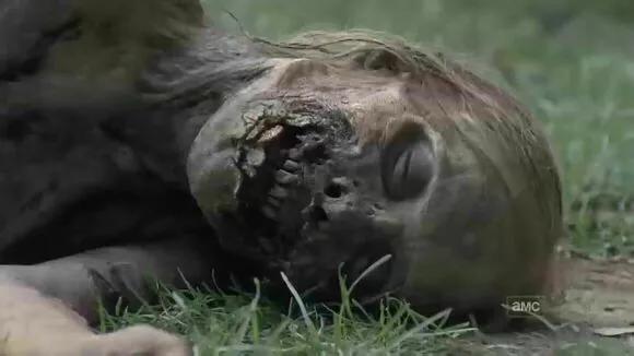 美剧行尸走肉最终解读,美剧行尸走肉八个最明显的错误