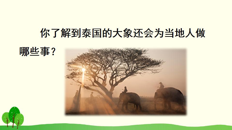 五年级下册与象共舞的作者是谁,与象共舞语文五年级下册老版