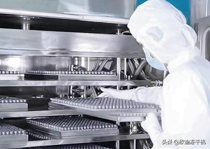 冻干无菌的方式以及西林瓶真空冷冻干燥技术研究