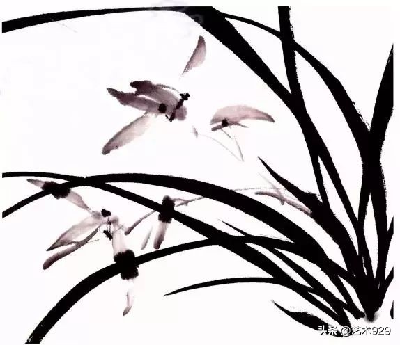 国画兰花画法免费技法教程,国画兰花绘画图