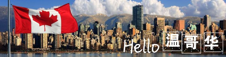 中加贸易趋势 (中加贸易怎么样了)