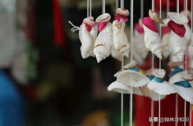 海边捡的贝壳能值多少钱,海边贝壳值钱吗