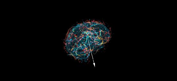 qq怎么让自己变成18岁以上,qq主页怎样设置90后