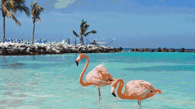 收藏各国签证,哪些国家可以签电子签