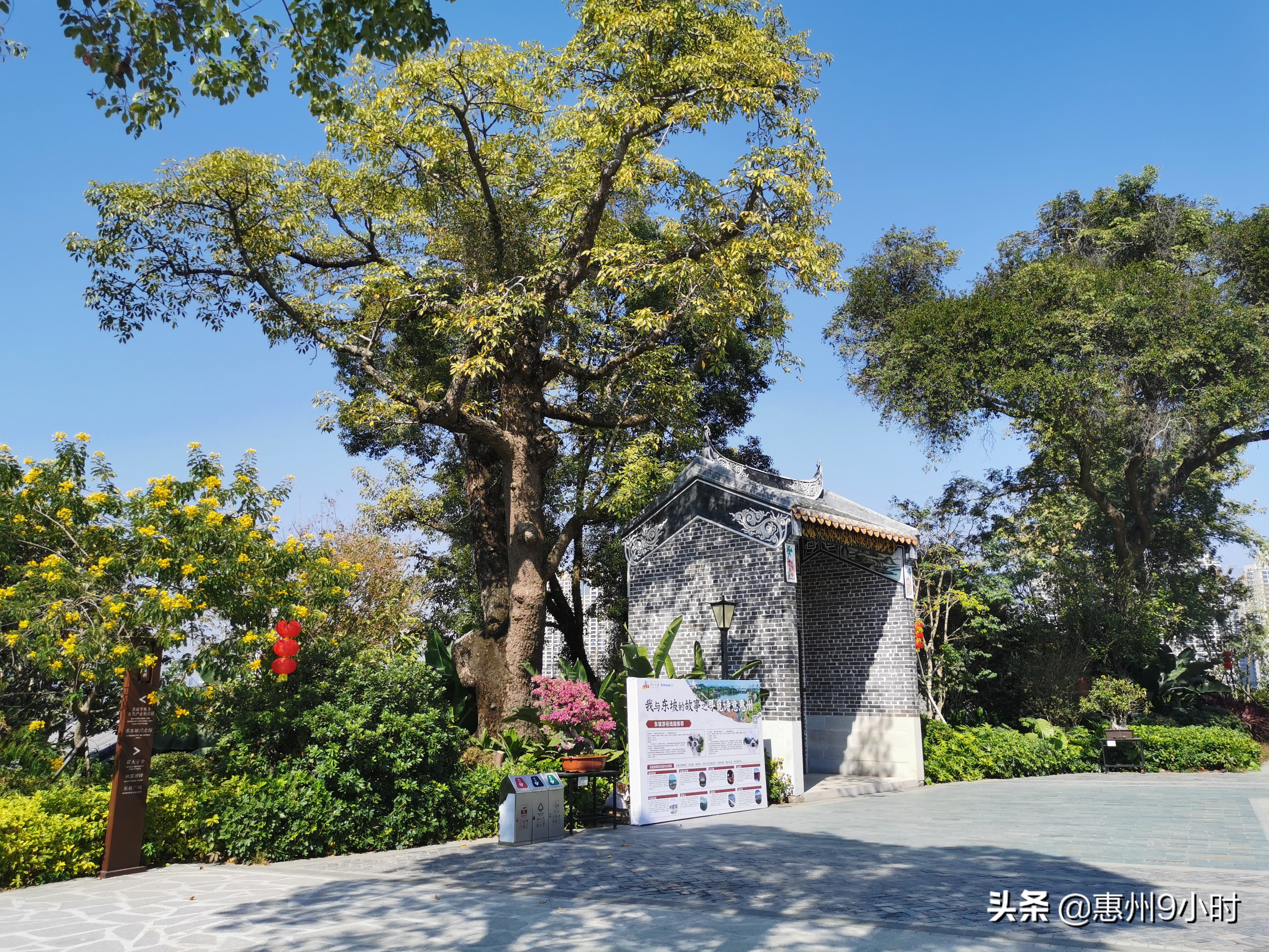 惠州市值得一去的地方 (到惠州最值得去的地方)