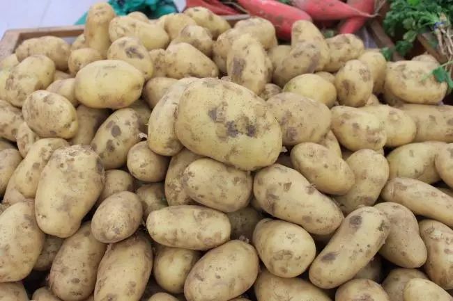 全新疆著名的特产,盘点十大新疆的特产