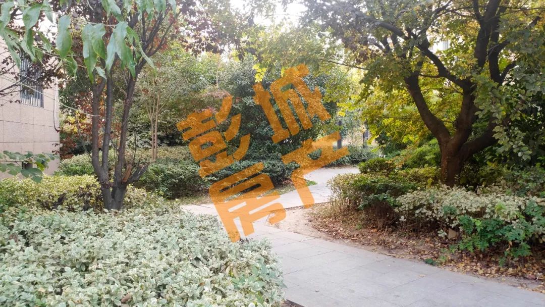 徐州市拆迁安置房的价格,徐州开发区拆迁安置上房通知