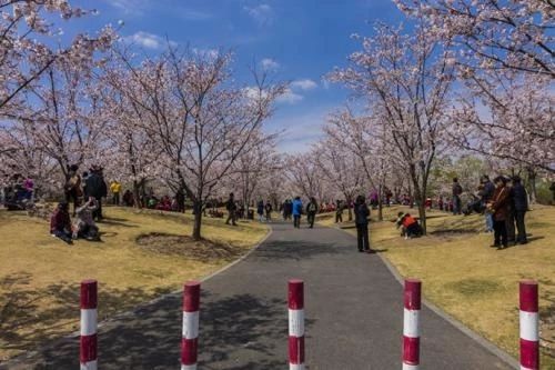 上海16区介绍有闸北吗,上海16个区高清地图