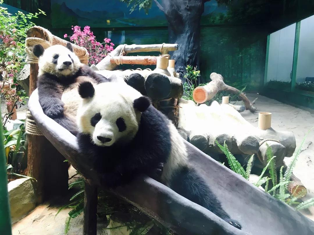 厦门马戏城灵玲酒店,厦门灵玲马戏酒店套票