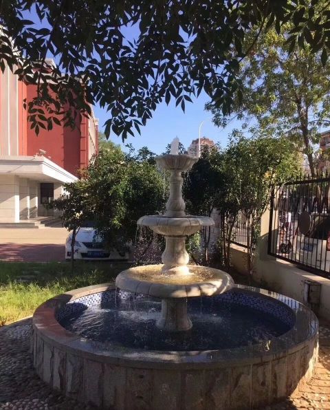 天津私立高中南开翔宇学校,天津市高级中学