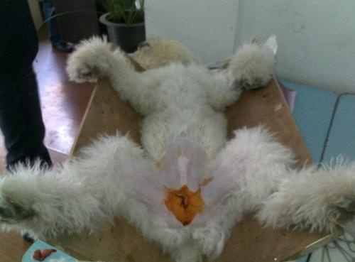 免拆线到底是拆还是不拆好,免拆线和普通线的利弊