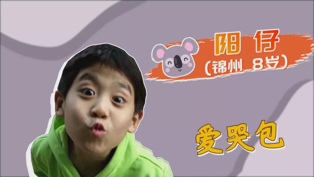 大熊猫相关知识,大熊猫百科知识详细介绍