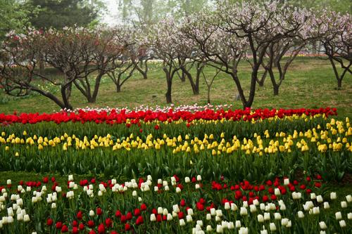 郑州五一近郊游的好地方,不出郑州就能游玩的地方