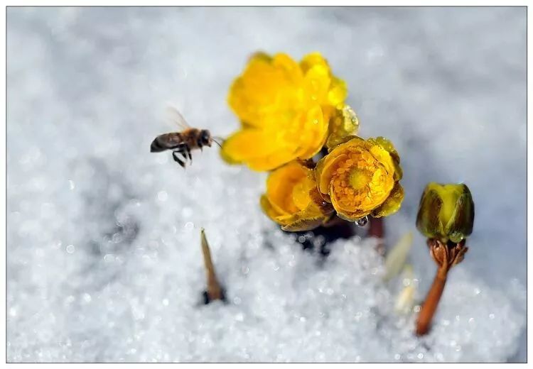 离俄罗斯只有一江之远,离黑龙江很近的俄罗斯城市