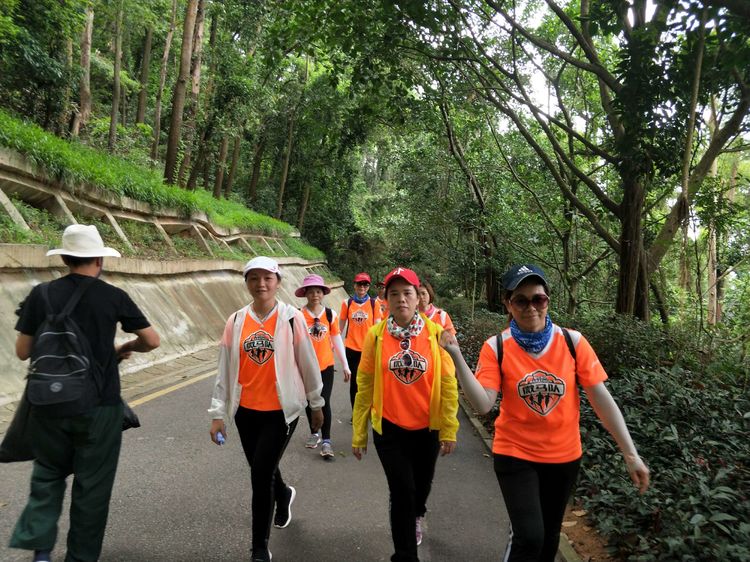 520,别样塘朗山!六约微马2019我们一起走第十二站塘朗山
