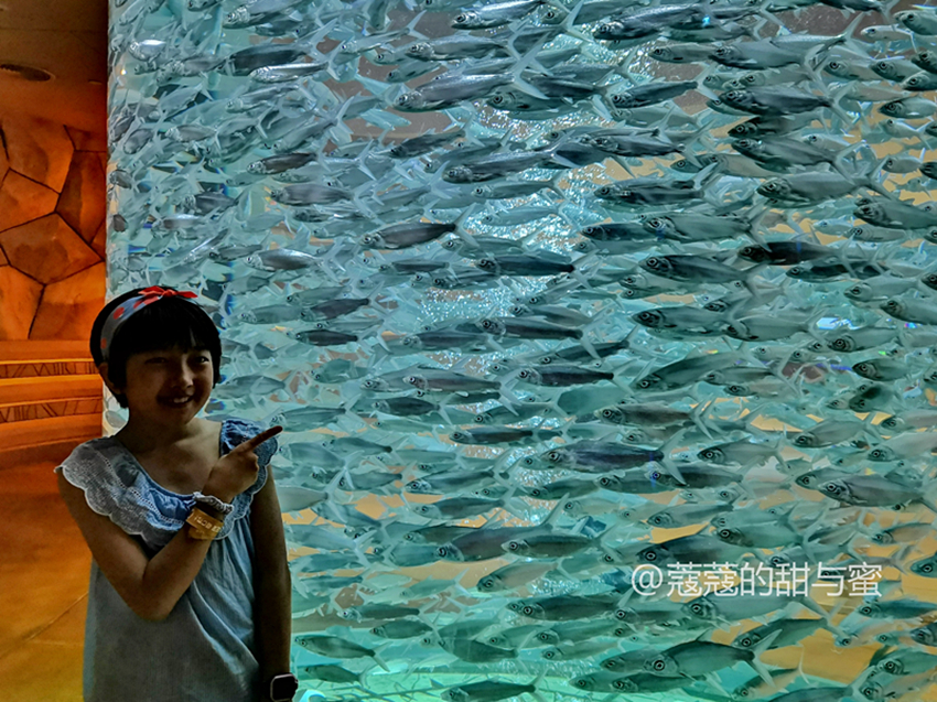 海南三亚游玩攻略亚特兰蒂斯,海南三亚攻略亚特兰蒂斯