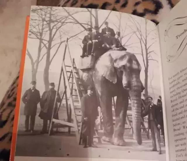 明星撞衫后的惨烈对比,明星撞衫的那些事