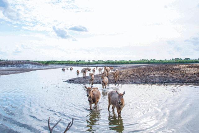 带你去杭州湾新区,带你走进宁波