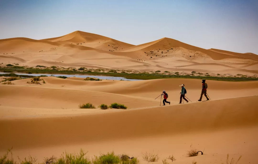 沙漠新手训练营,沙漠早期教育亲子课程