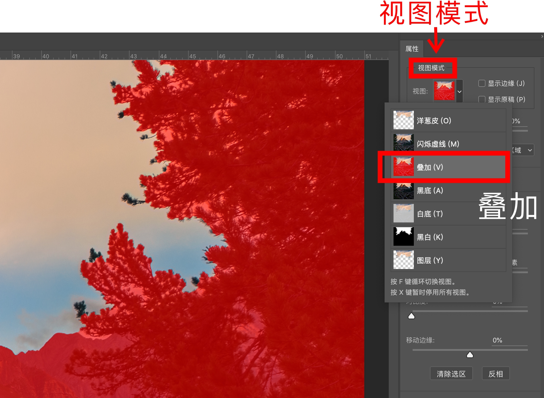 摄影后期的布局,摄影后期裁剪的方法